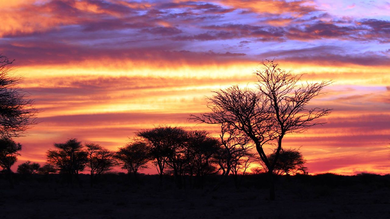 Okonjima-Luxury-Bush-Camp-African-Sunset