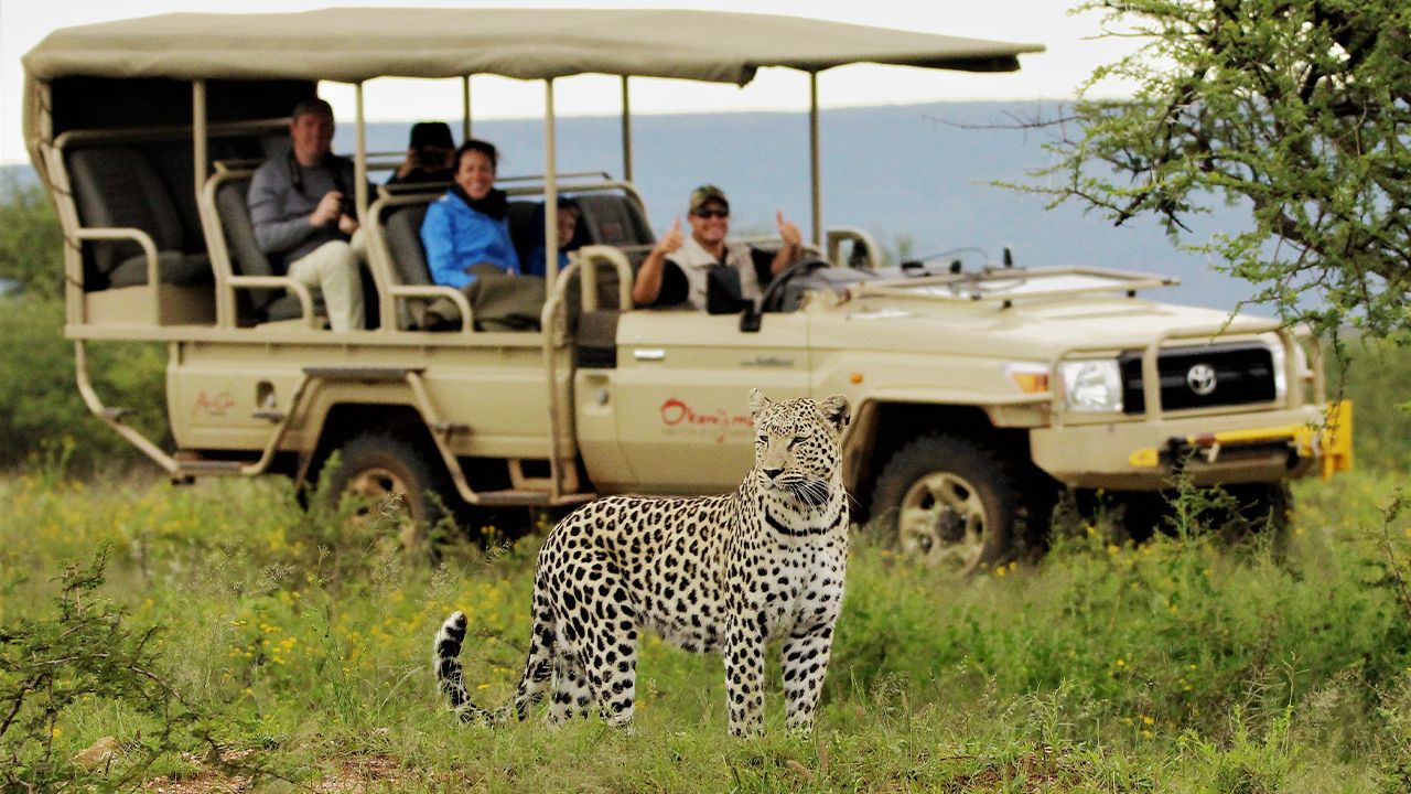 Okonjima-Luxury-Bush-Camp-Game-Drive-Leopard