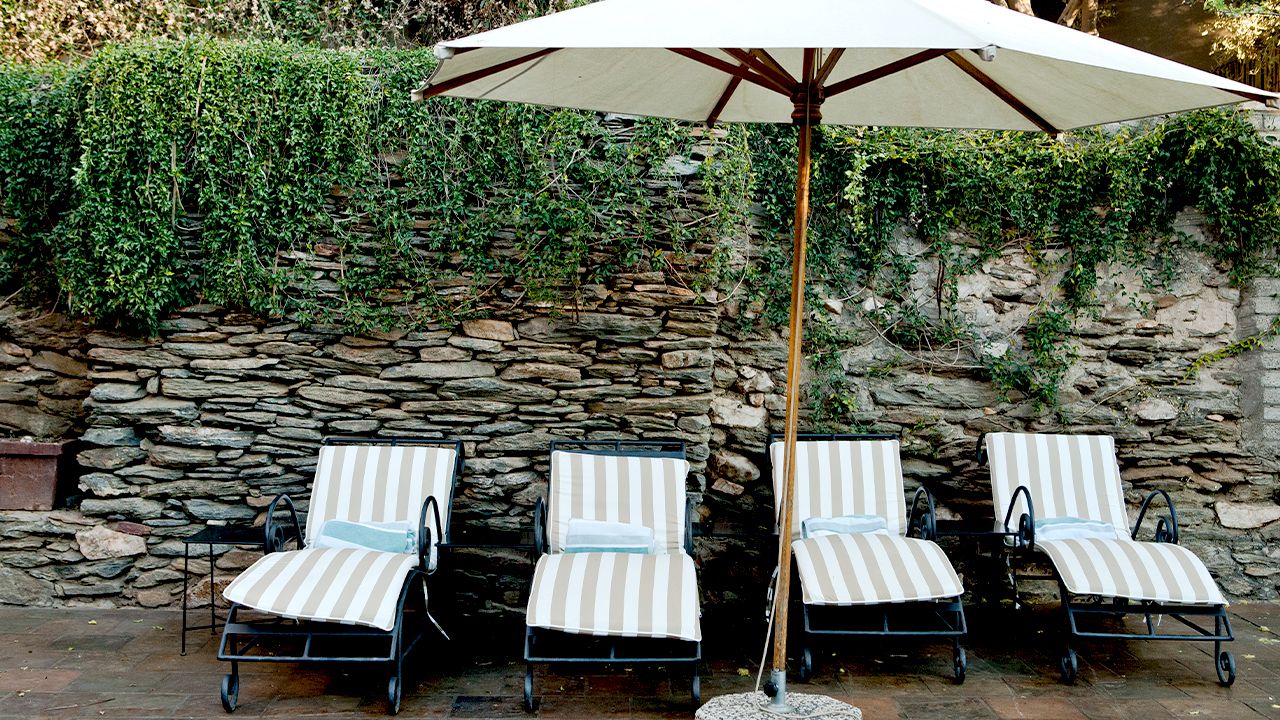 Olive-Grove-Guesthouse-Sunloungers