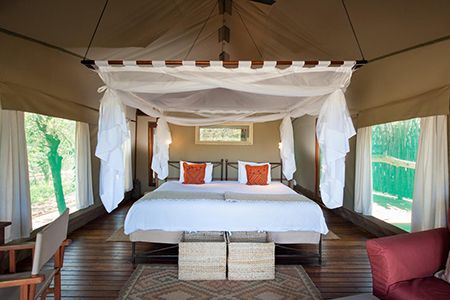 Ongava-Tented-Camp-Room-Tent