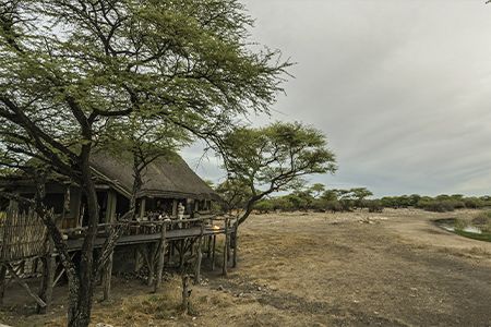 Onguma-Tree-Top-Camp-Featured-Image