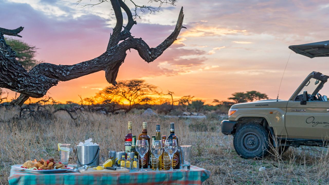 Onguma-Tree-Top-Camp-Game-Drive-Sundowners