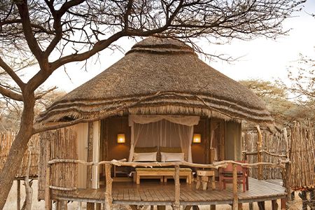 Onguma-Tree-Top-Camp-Room-Tented-Tree-House