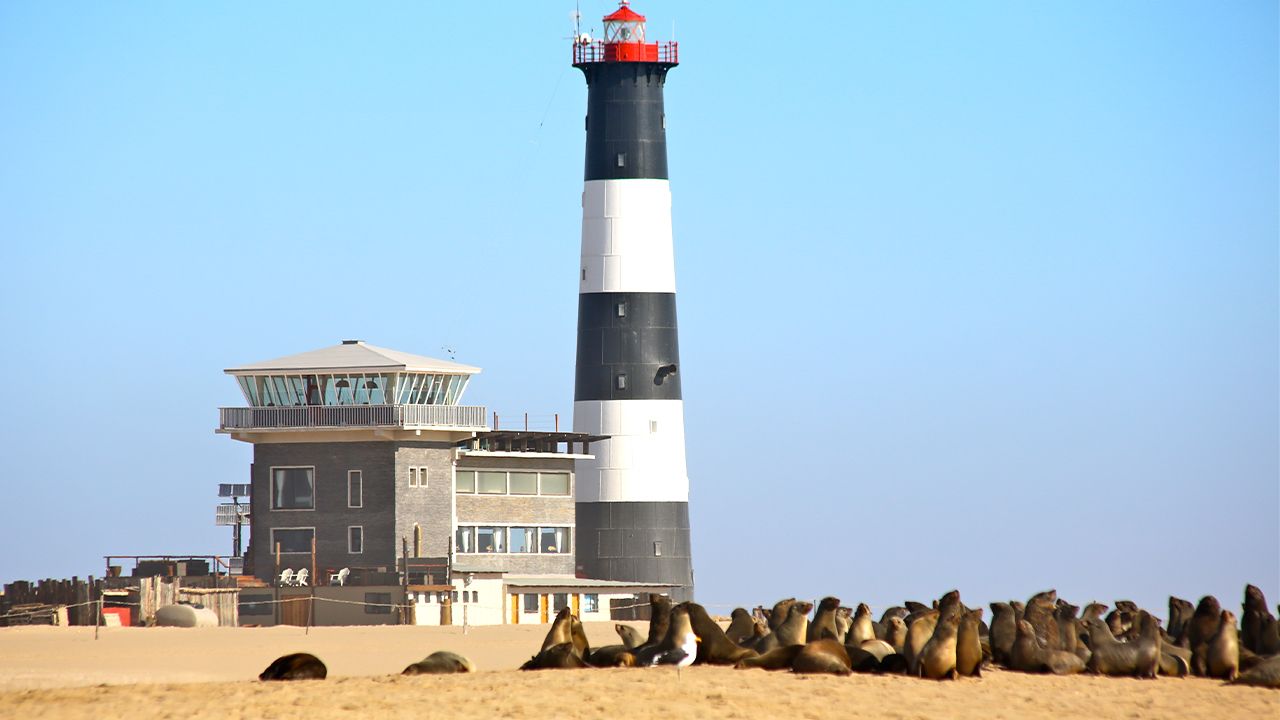 Pelican-Point-Lodge-Exterior-Seal-Colony