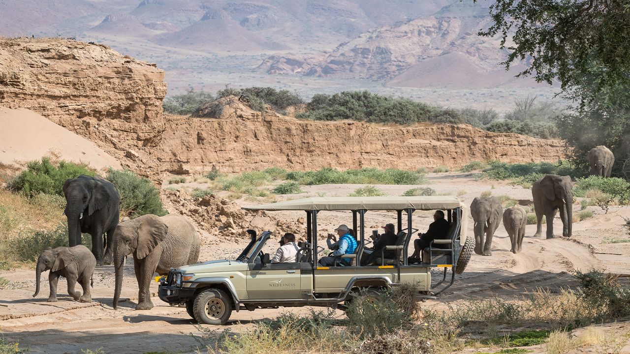 Damaraland-Camp-Game-Drive-Elephants