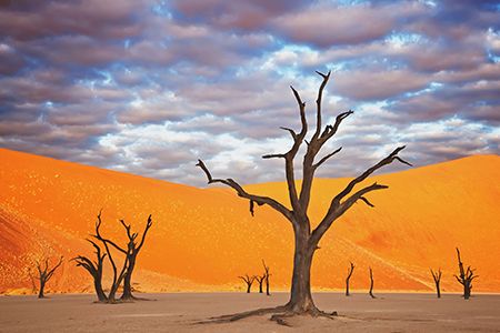 Destinations-Namib-Naukluft-National-Park-Featured-Image